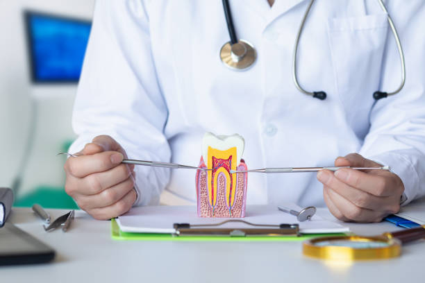 Best Pediatric Emergency Dentist in Livingston, TN